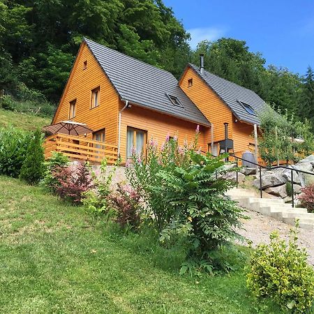 Le Chalet La Cigogne Et Le Chamois Мюнстер Екстер'єр фото