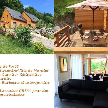 Le Chalet La Cigogne Et Le Chamois Мюнстер Екстер'єр фото